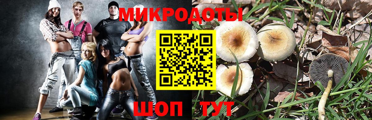 Псилоцибиновые грибы MAGIC MUSHROOMS Димитровград