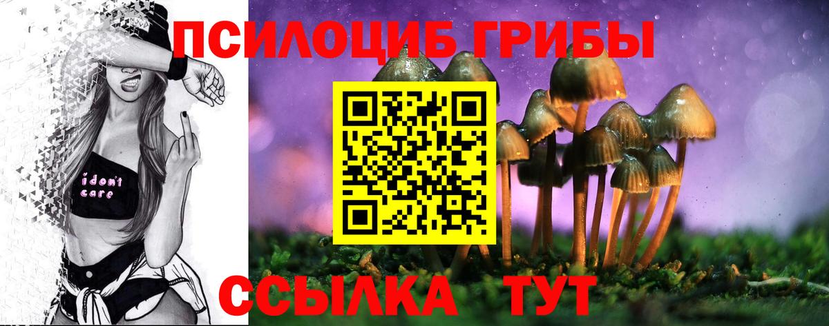 наркотики  Галлюциногенные грибы GOLDEN TEACHER  Вход с VPN  Димитровград  Галлюциногенные грибы мухоморы 